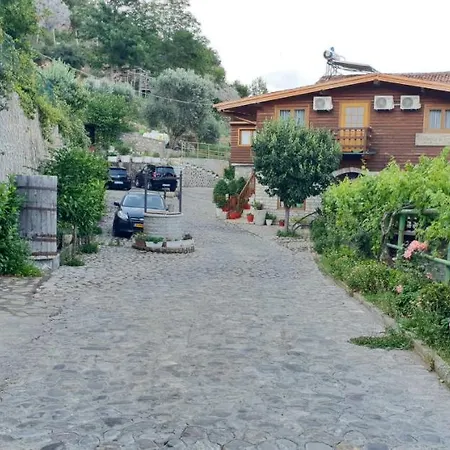Grandpa's House *